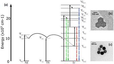 Optical Temperature Sensing With Infrared Excited Upconversion Nanoparticles